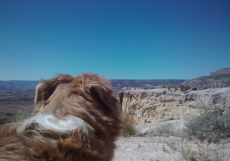 Zachary On Kitchen Mesa